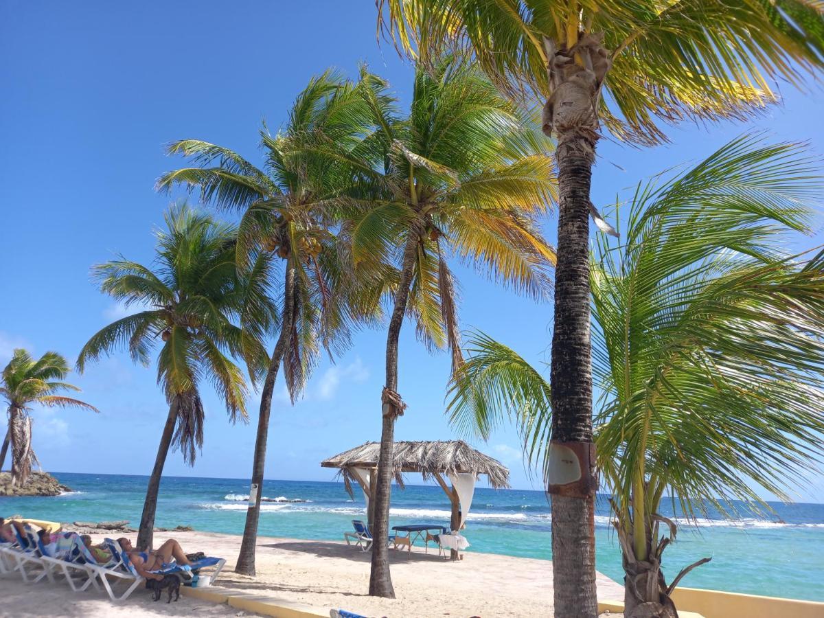 Tropical Cocooning Aparthotel Saint-Francois  Luaran gambar